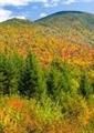 New England BHA Chapter